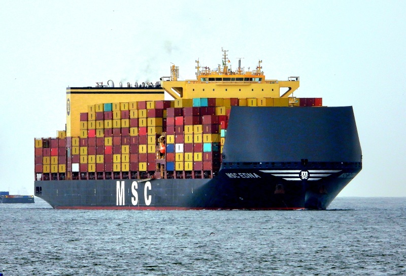 MSC EDNA