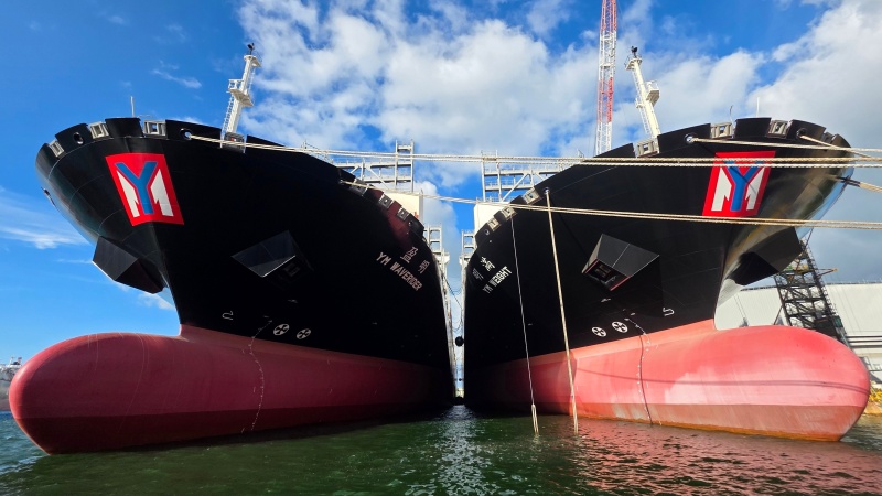 YM WAVERIDER