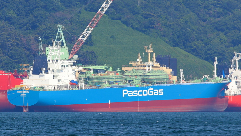 PASCO BERFIN S/T