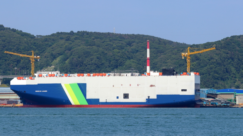 HIBISCUS LEADER