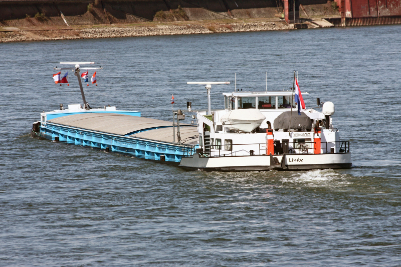 FLIPPER I