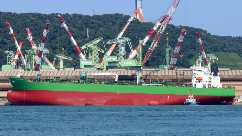 PIS SUMBAWA(S/T)