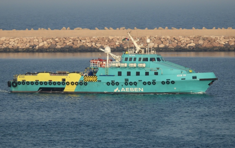 AESEN 106