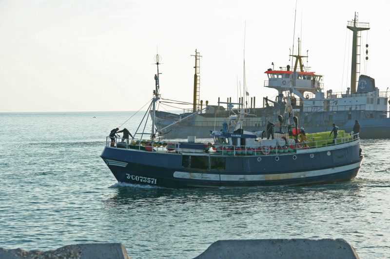 Image of TONINO SEGUNDO