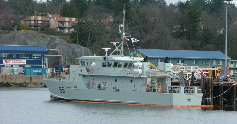RAVEN 56