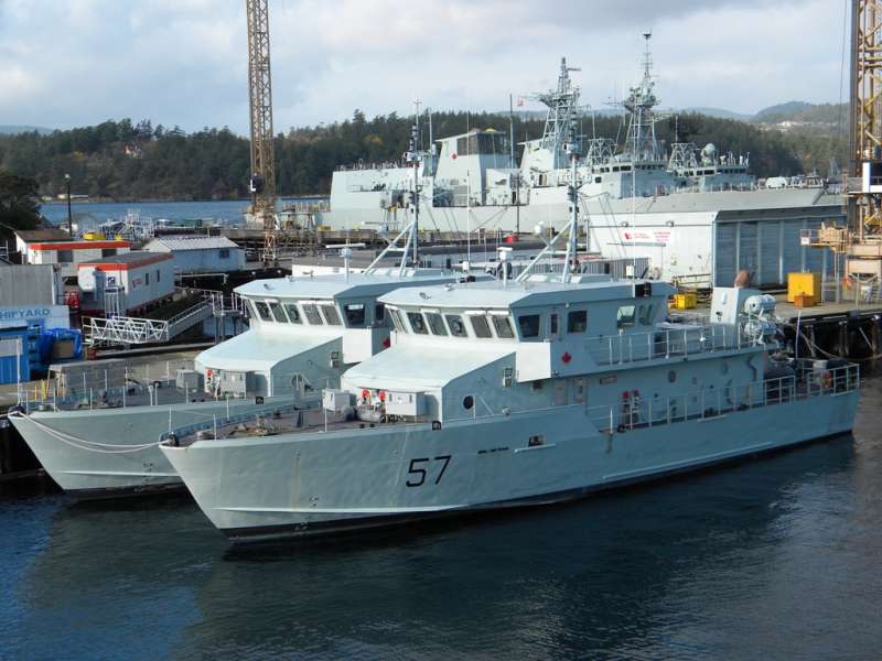 CARIBOU 57