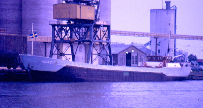 VERTROUWEN