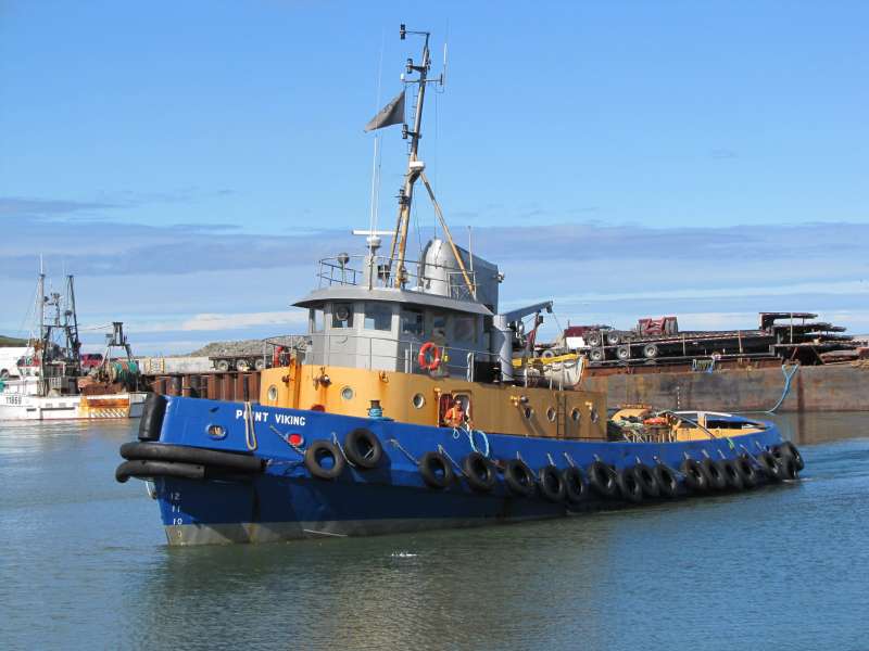 POINT VIKING