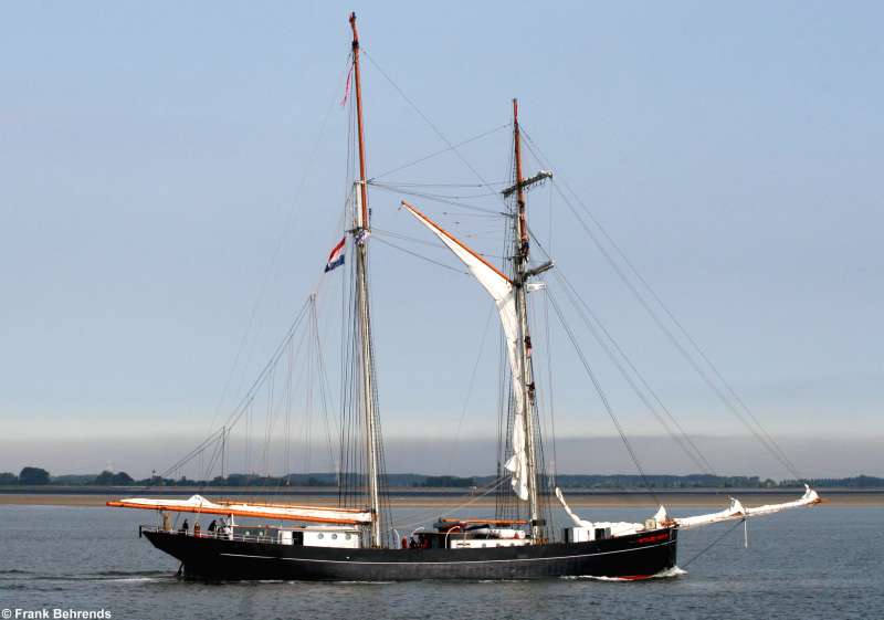 WYLDE SWAN