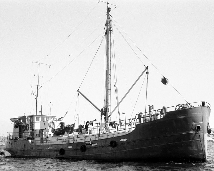 Image of ALBATROS 1