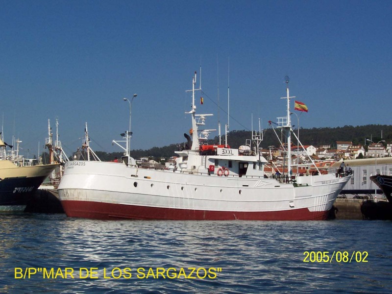MAR DE SARGAZOS