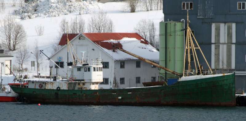 NYBORG