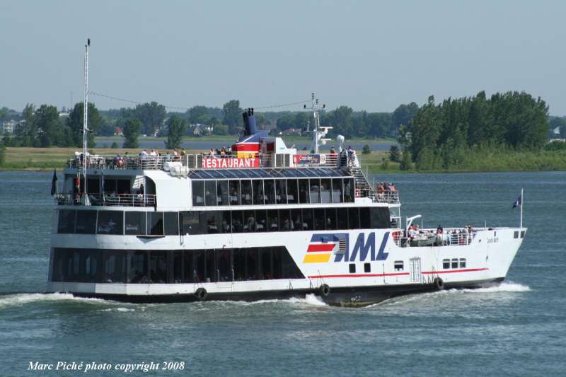 AML CAVALIER MAXIM