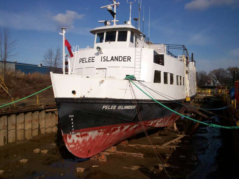 Image of PELEE ISLANDER