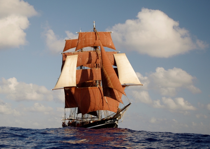 EYE OF THE WIND