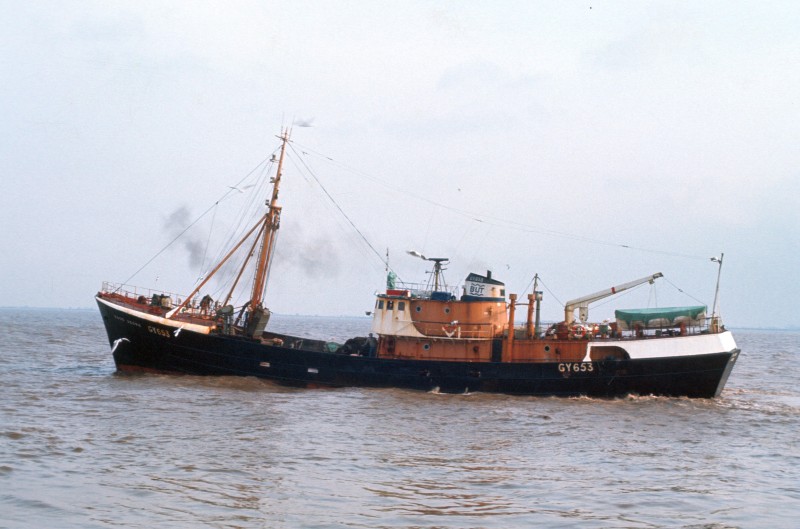 Image of MV"DP PECULIAR