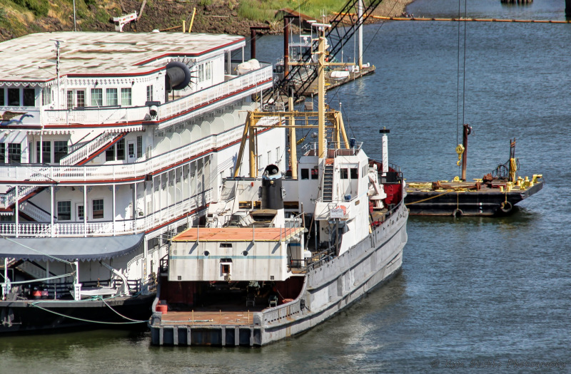 SALVAGE CHIEF