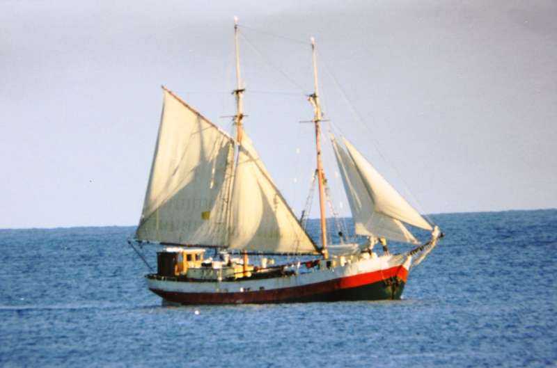 AVONTUUR