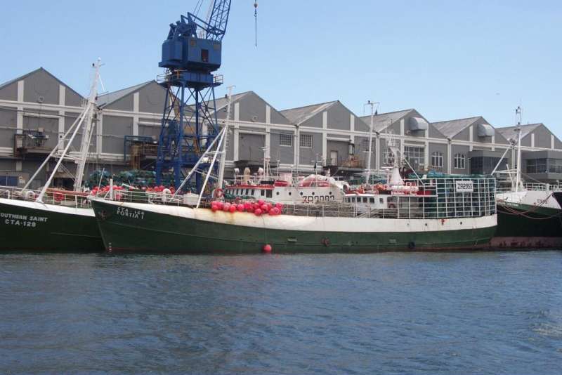 PORTIA 1