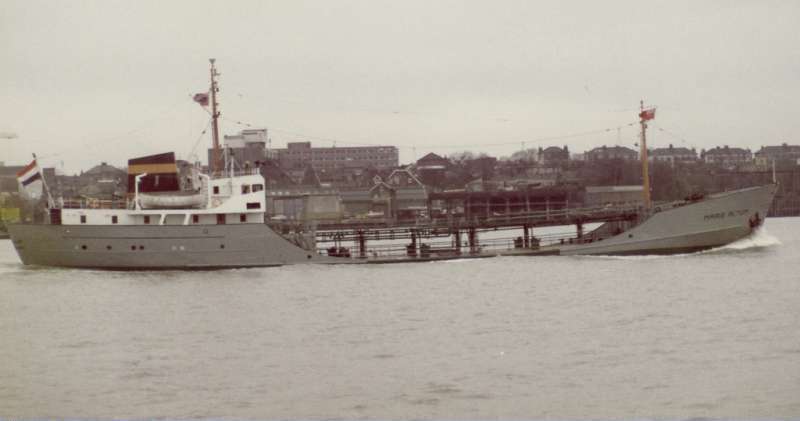 ARISTO