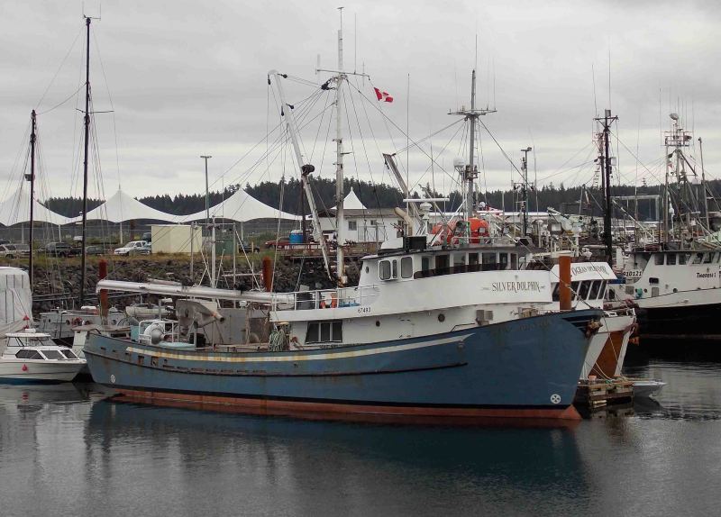 SILVER DOLPHIN