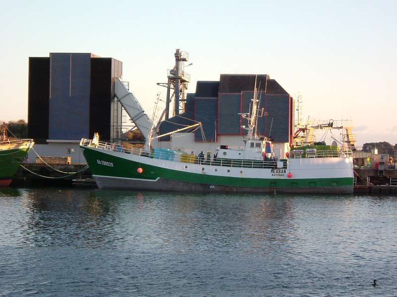 F/V RADOCHE