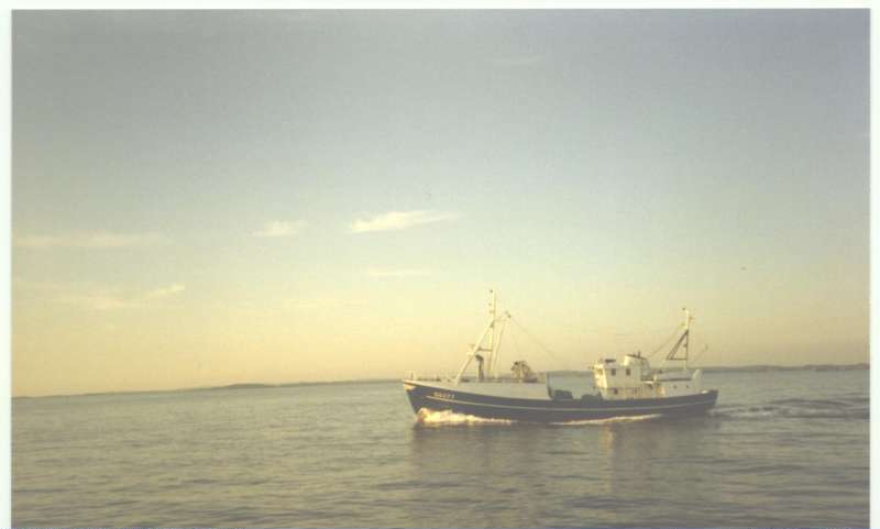 KINGSTON