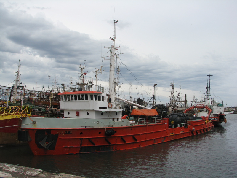 AUDAX II