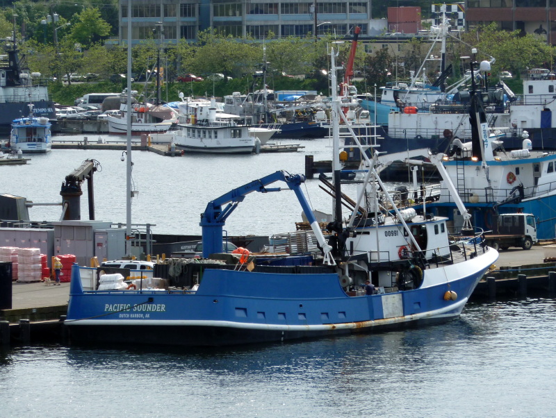 PACIFIC SOUNDER