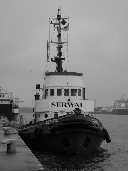 Image of SERWAL