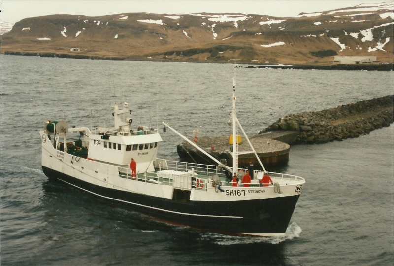 STEINUNN
