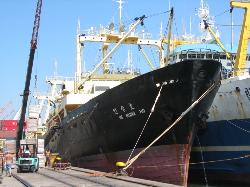 F/V SAE IN CHAMPION