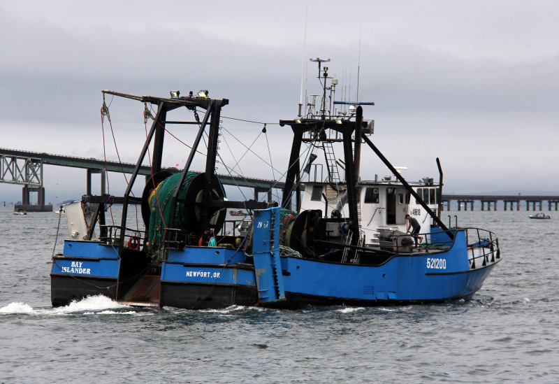 BAY ISLANDER