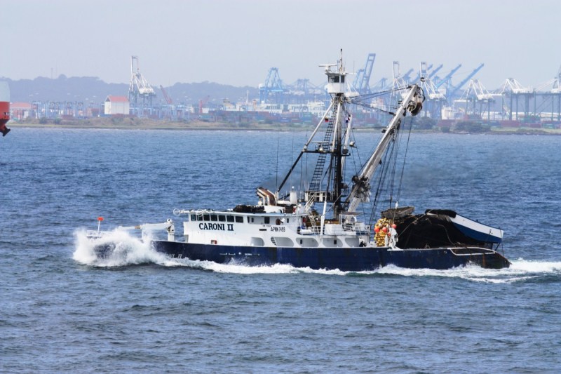 CARONI II