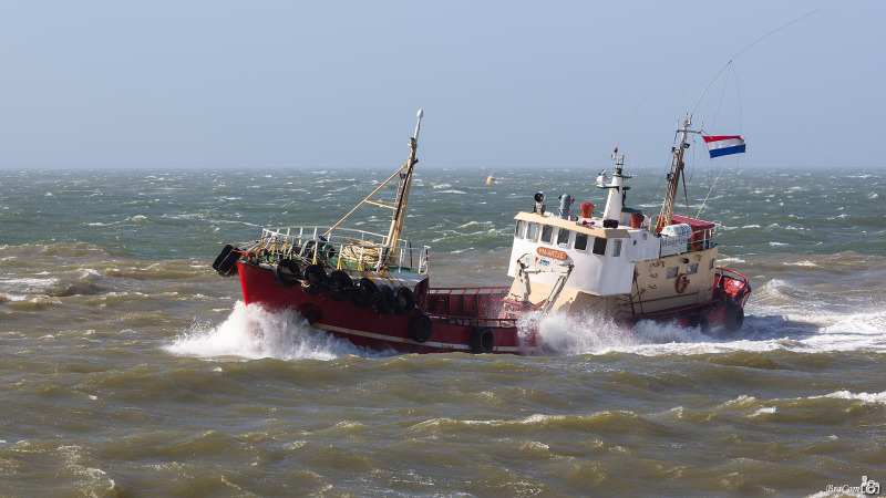 MAARTJE