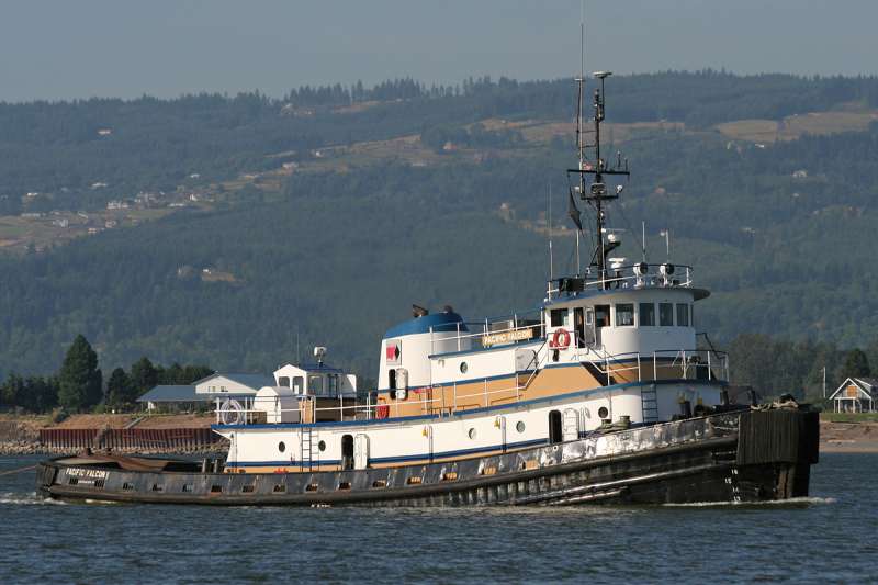 PACIFIC FALCON