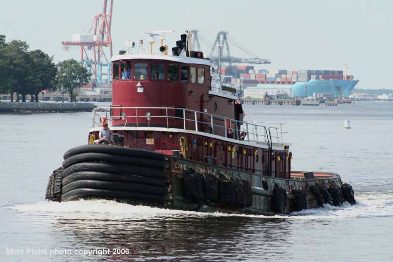 Image of CAPE HENLOPEN