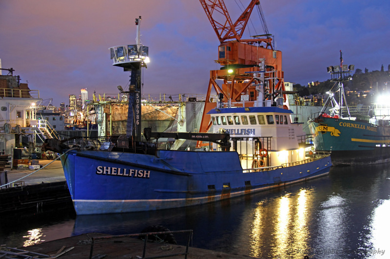 SHELLFISH