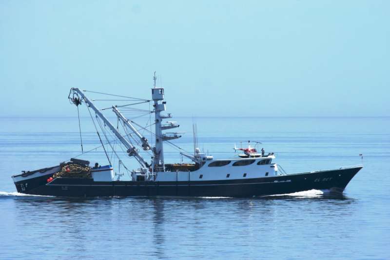 EL REY - Fishing