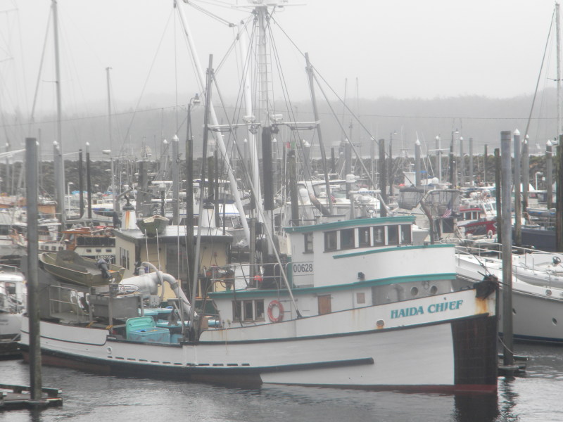HAIDA CHIEF