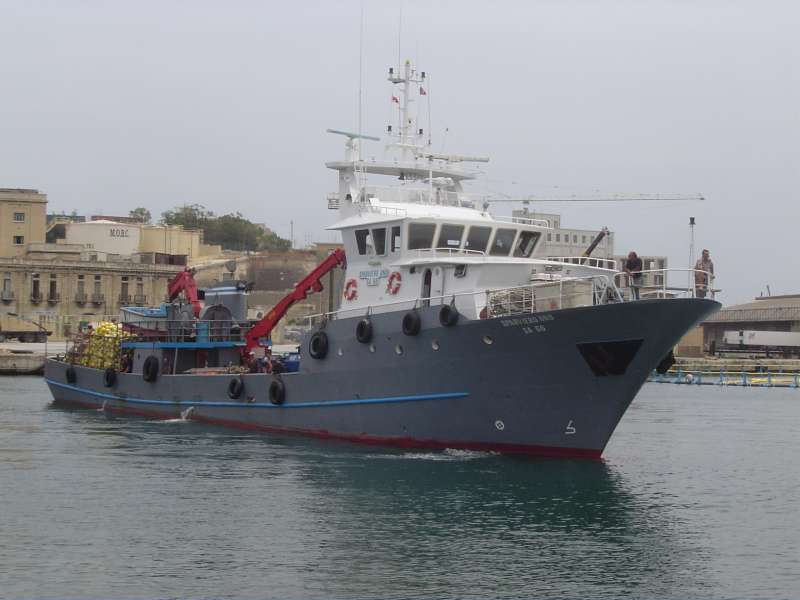 SPARVIERO UNO