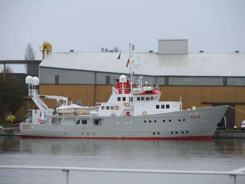 SOLEA