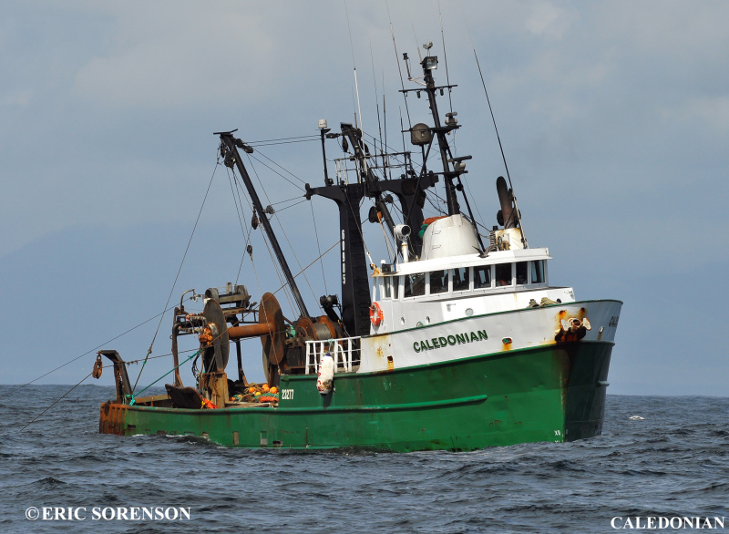 CALEDONIAN
