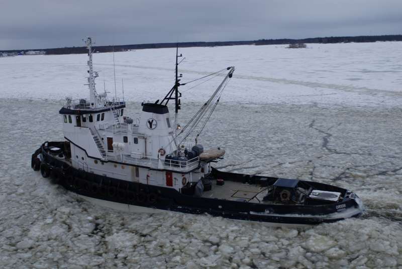 VB ORION