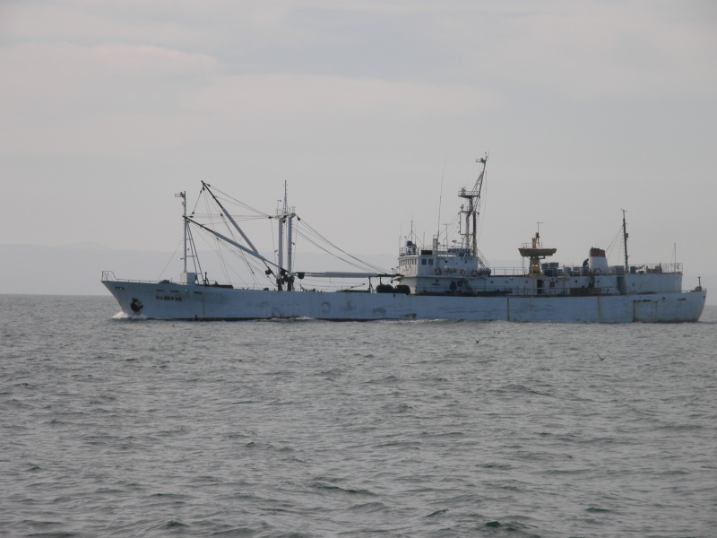 NADEZHDA