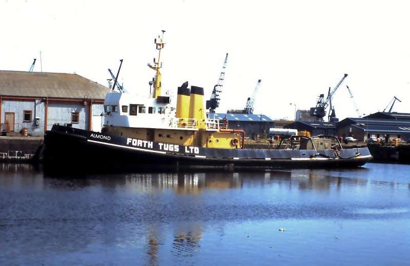 SEA BULL