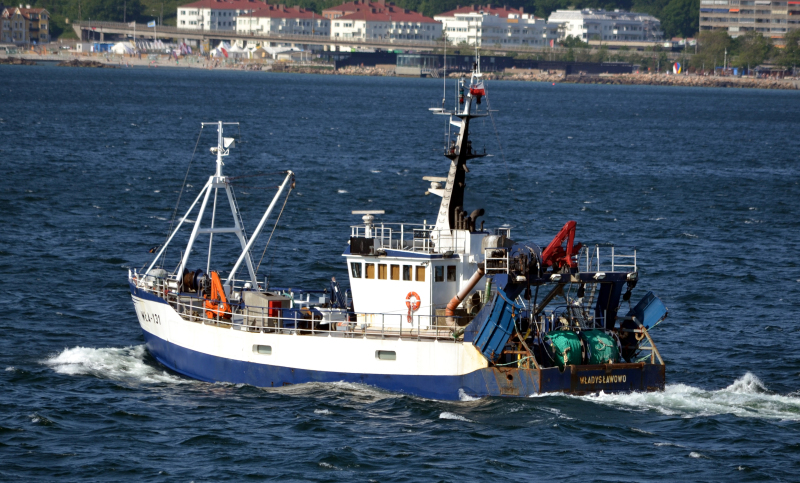 ALBERT WLA131