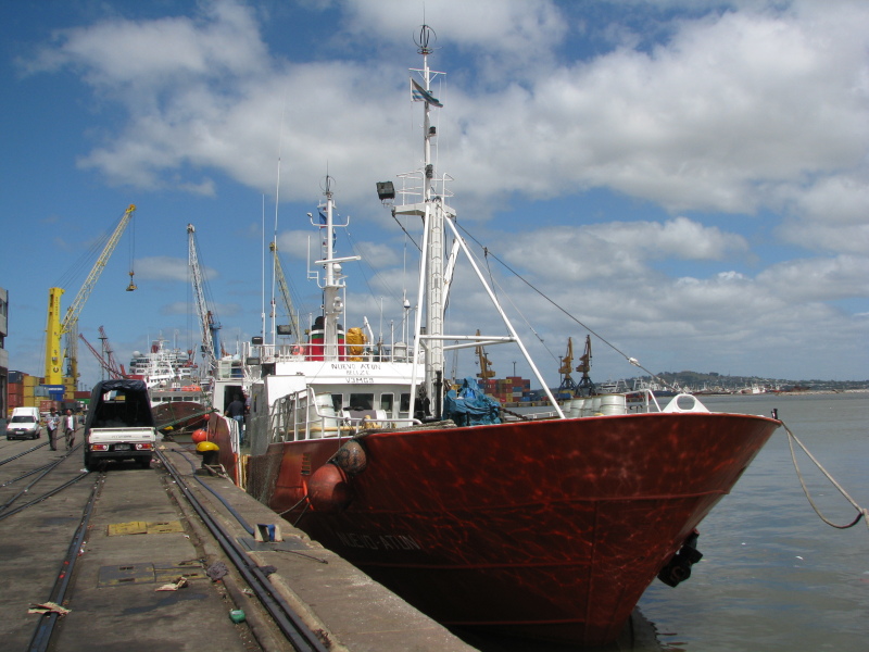 PESCAMARO UNO