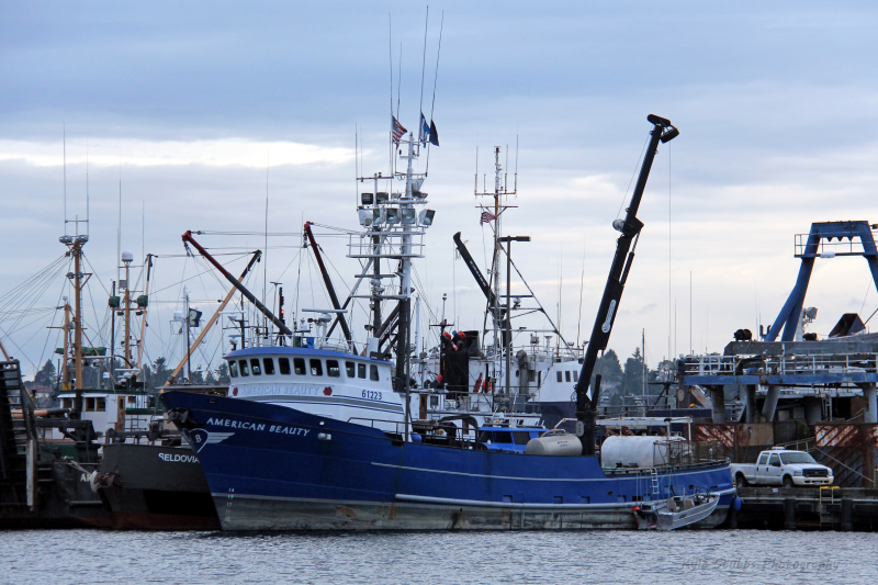 ALASKA CHIEFTAIN