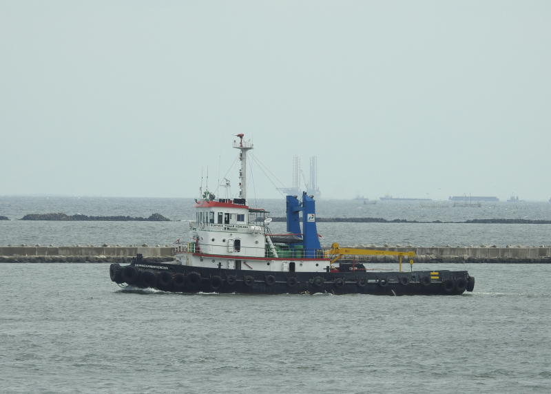 D MAWAR KENCANA